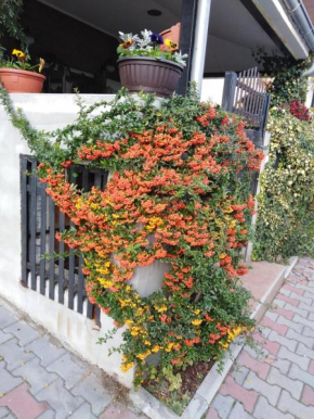 Apartment Fenix